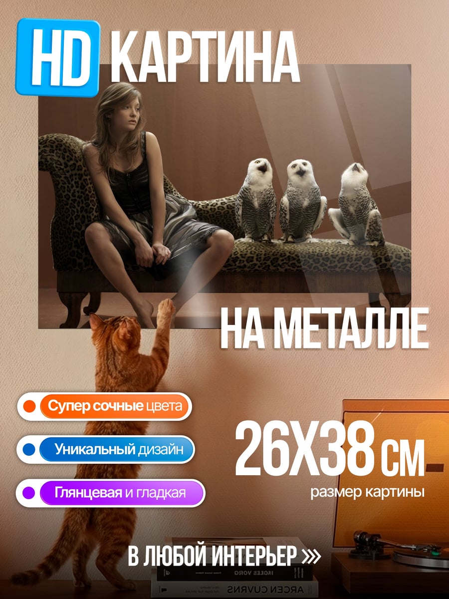 Картина на металле Девушка с совами