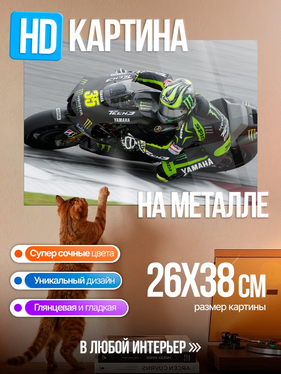 Картина на металле Гонщик MotoGP