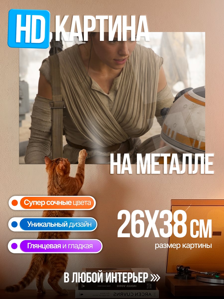 Картина на металле Рей и BB-8