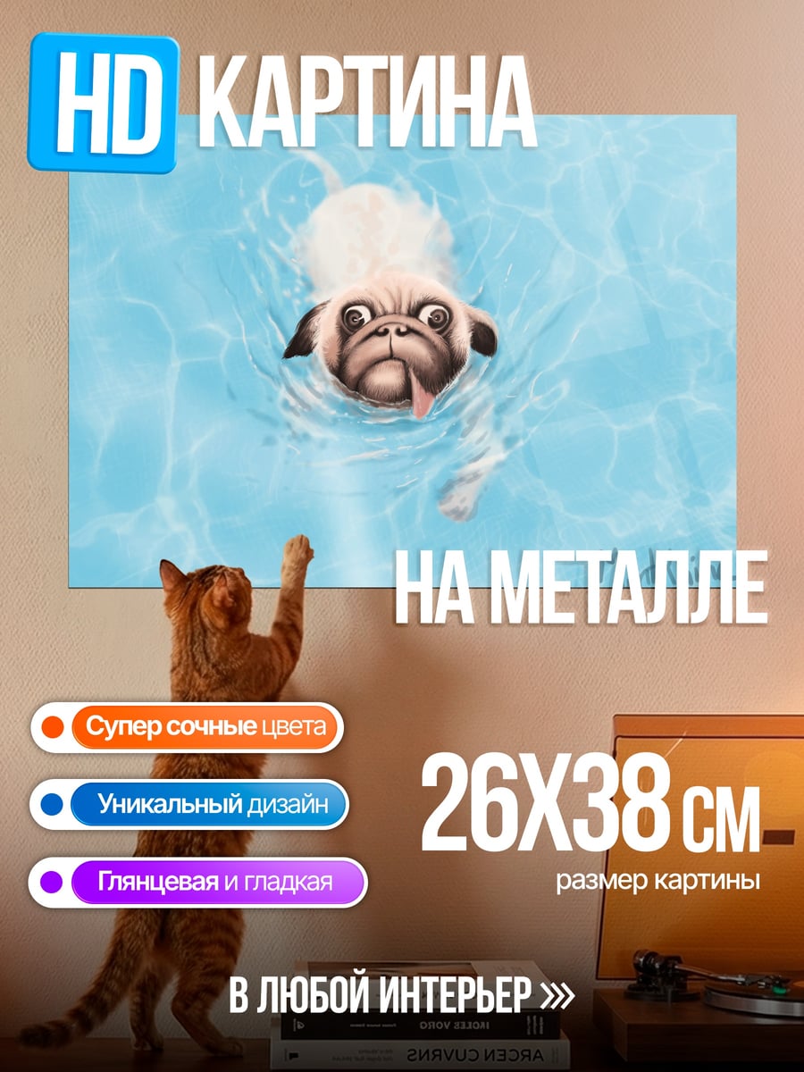 Картина на металле мопс в бассейне