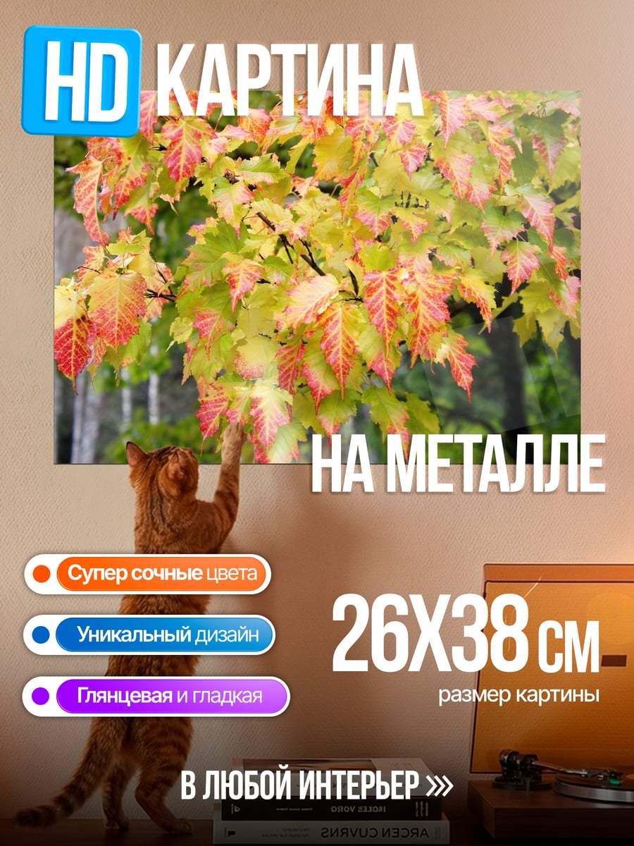 Картина на металле Осенние листья клена