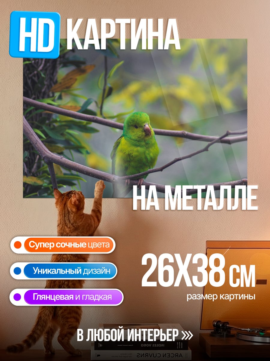 Картина на металле зеленая птица ветка