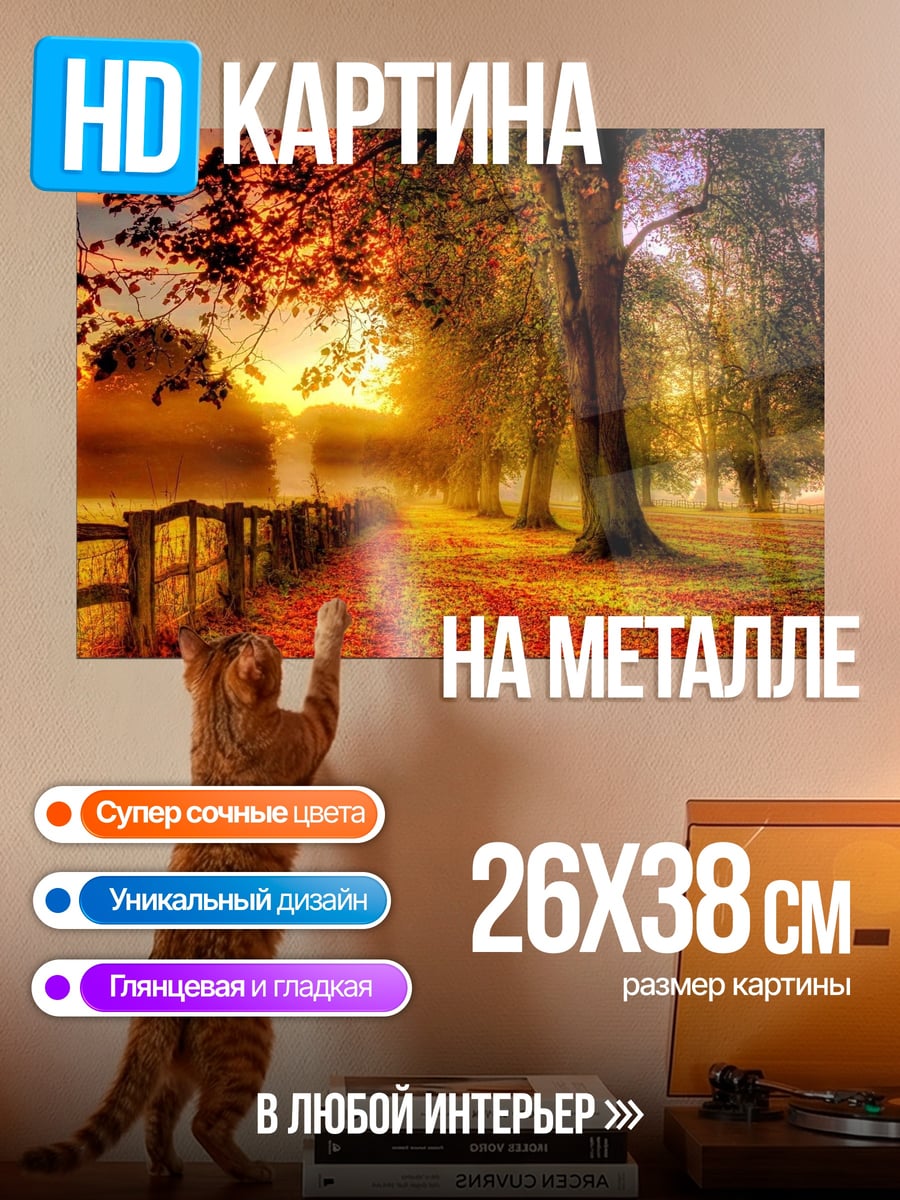 Картина на металле Осенний парк на закате
