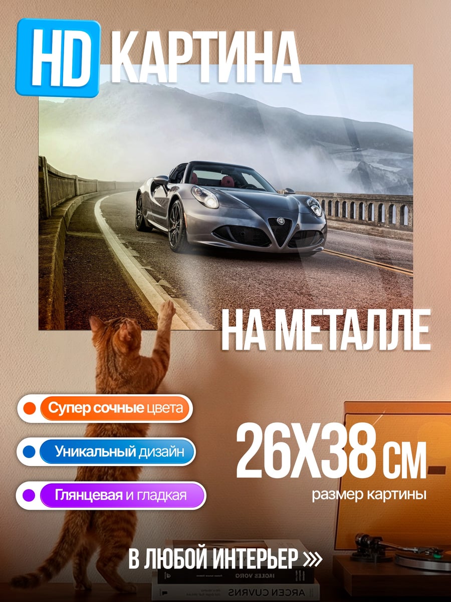 Картина на металле Спортивный автомобиль на дороге