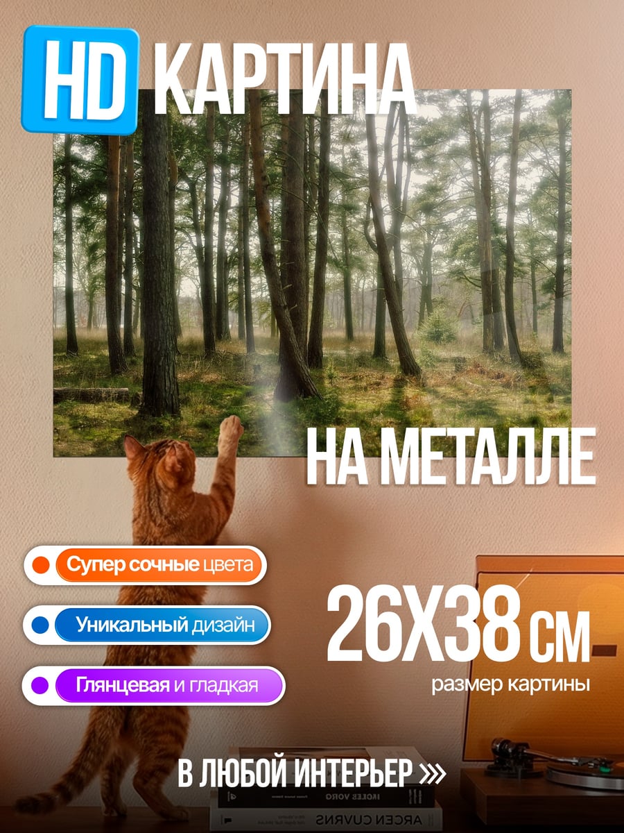 Картина на металле Солнечный лес