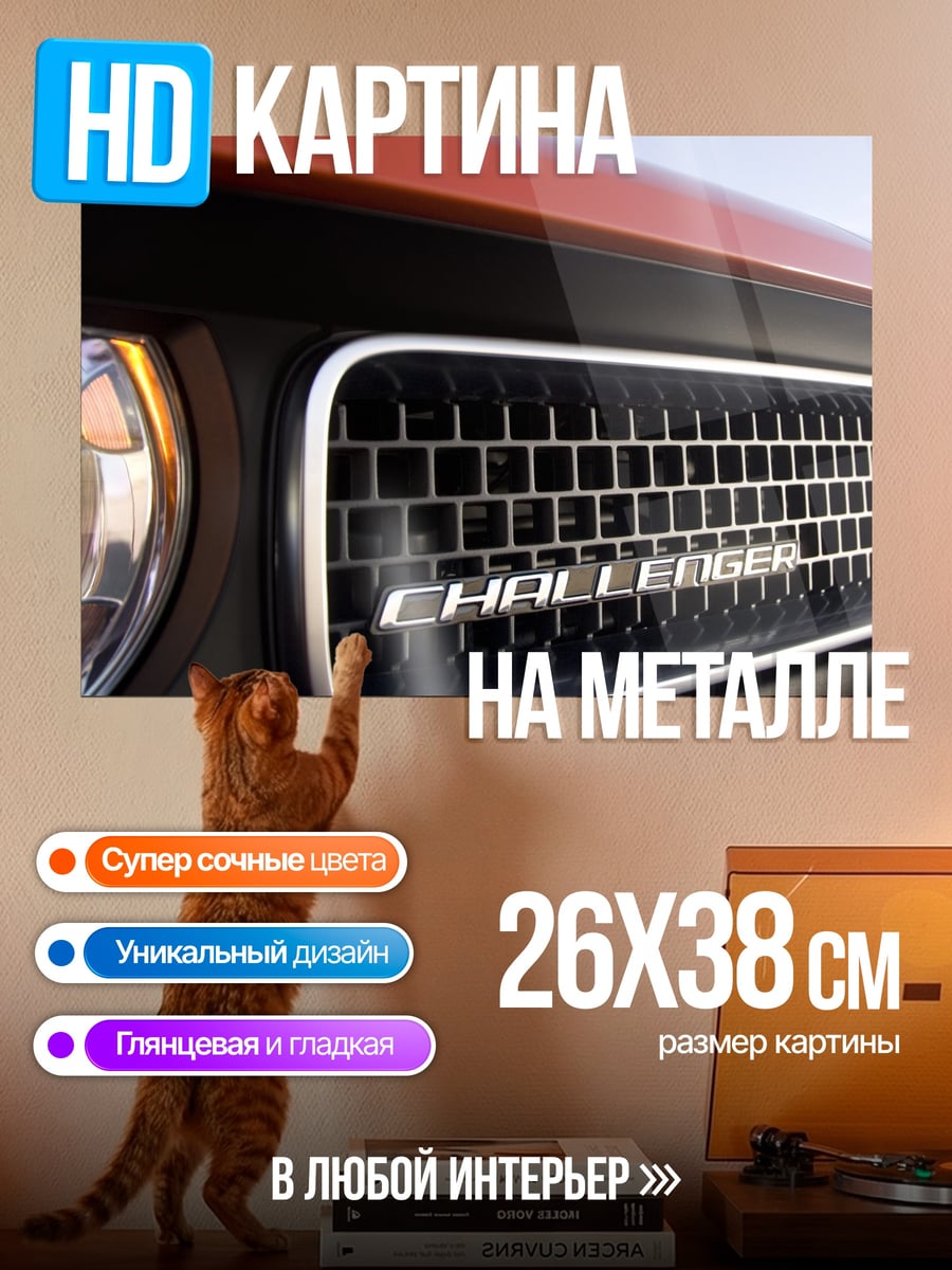 Картина на металле Решетка Challenger