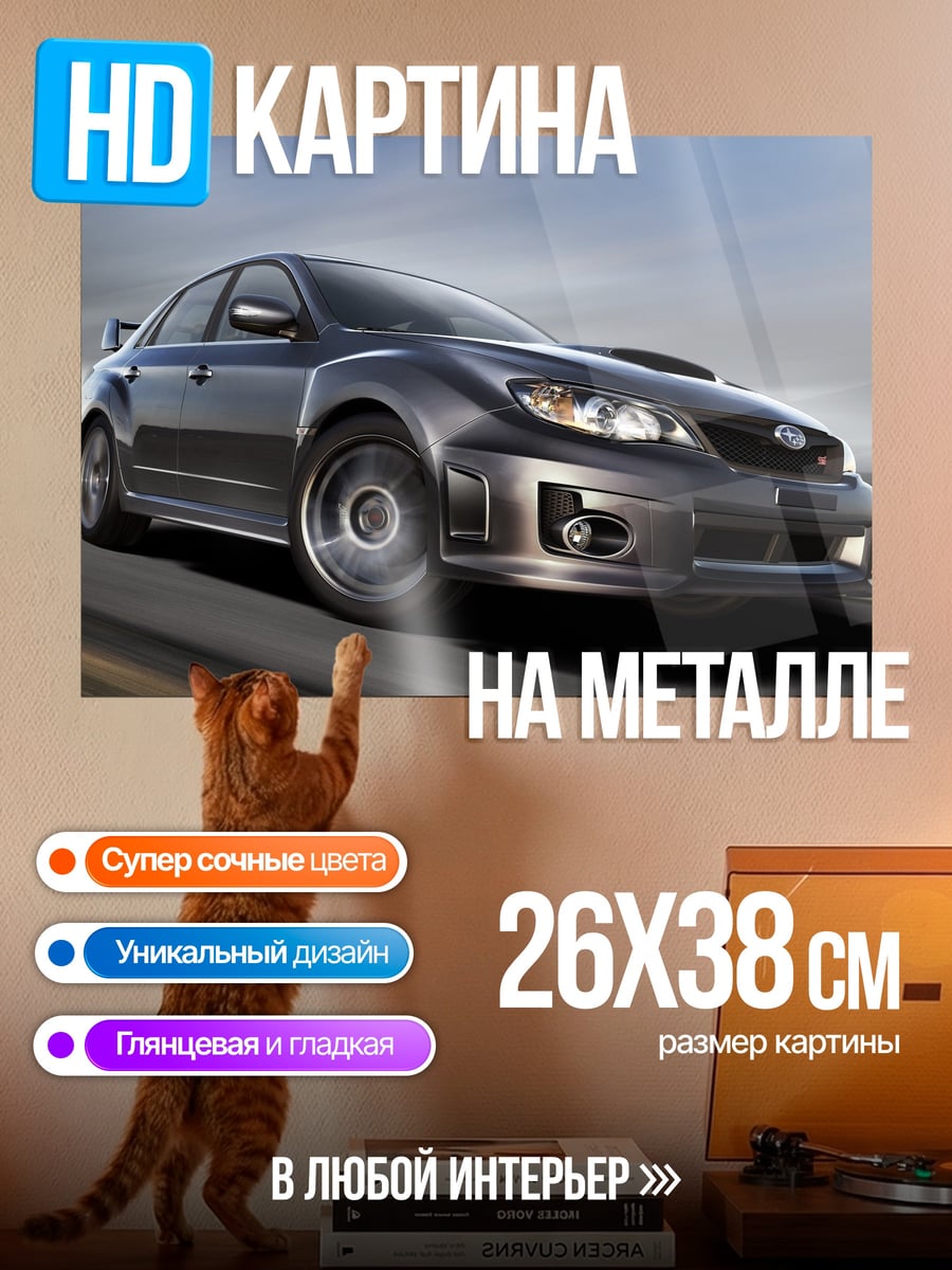 Картина на металле Спортивный Subaru