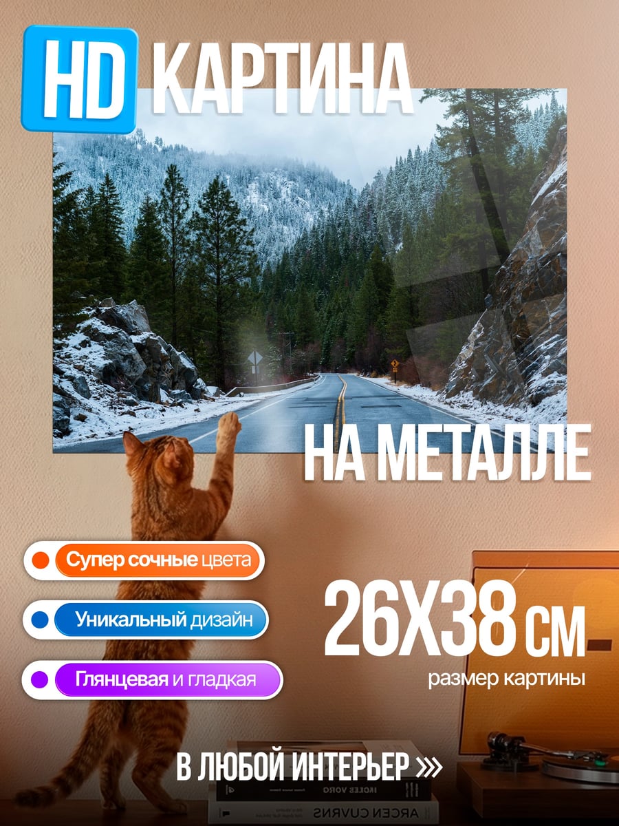 Картина на металле Зимняя дорога в горах