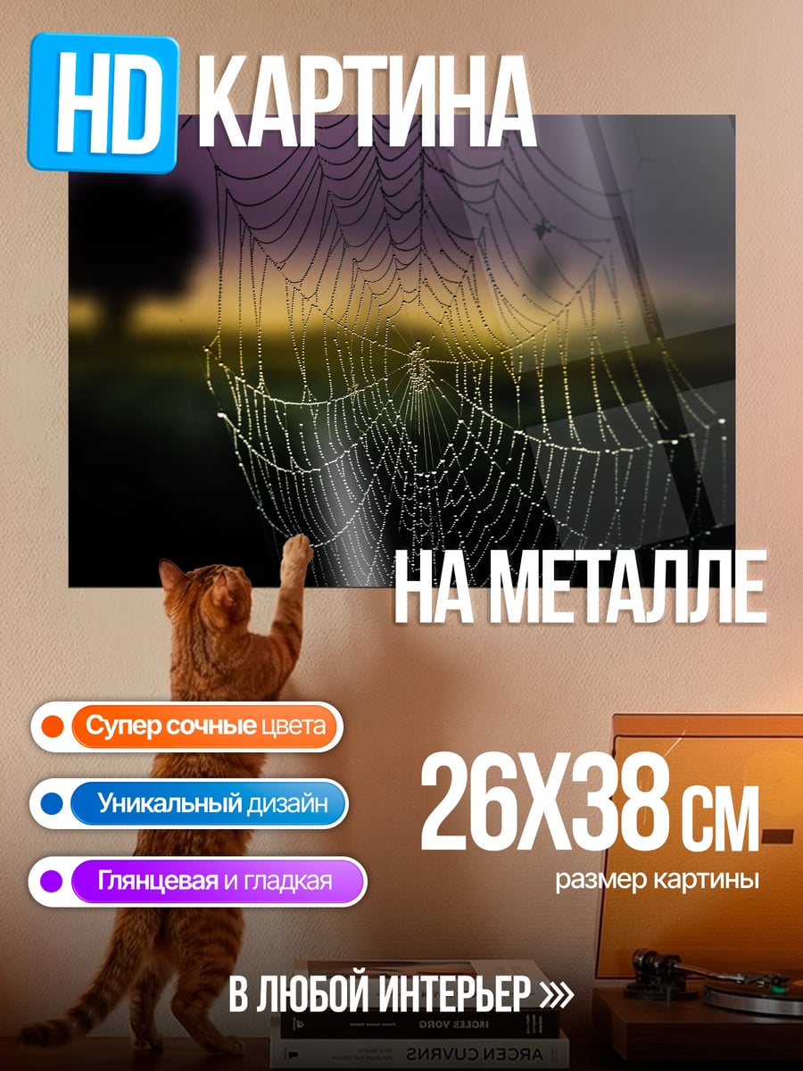 Картина на металле паутина рассвет