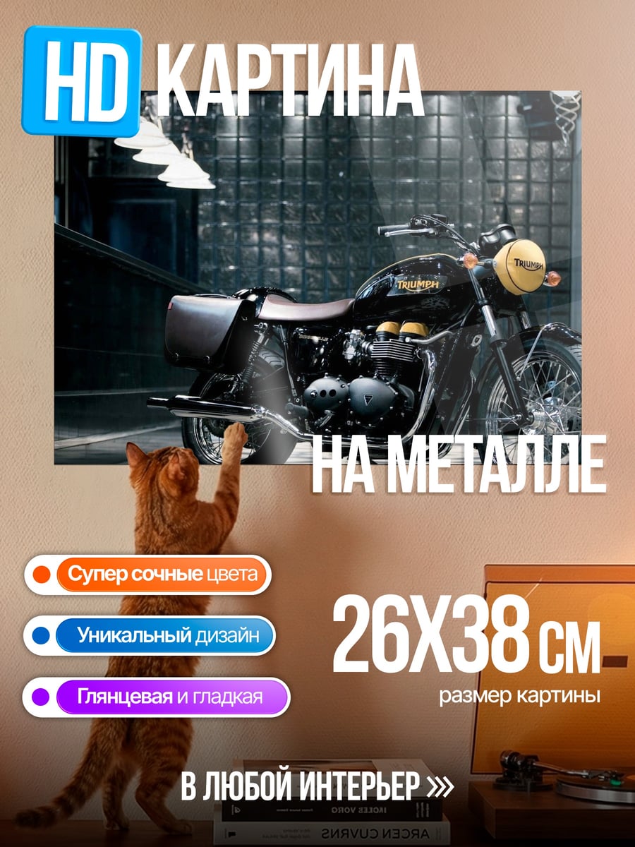 Картина на металле Черный мотоцикл