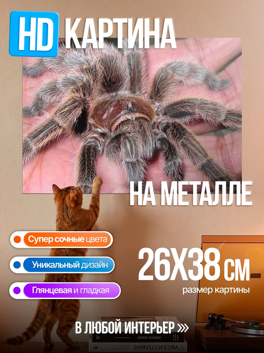 Картина на металле паук тарантул
