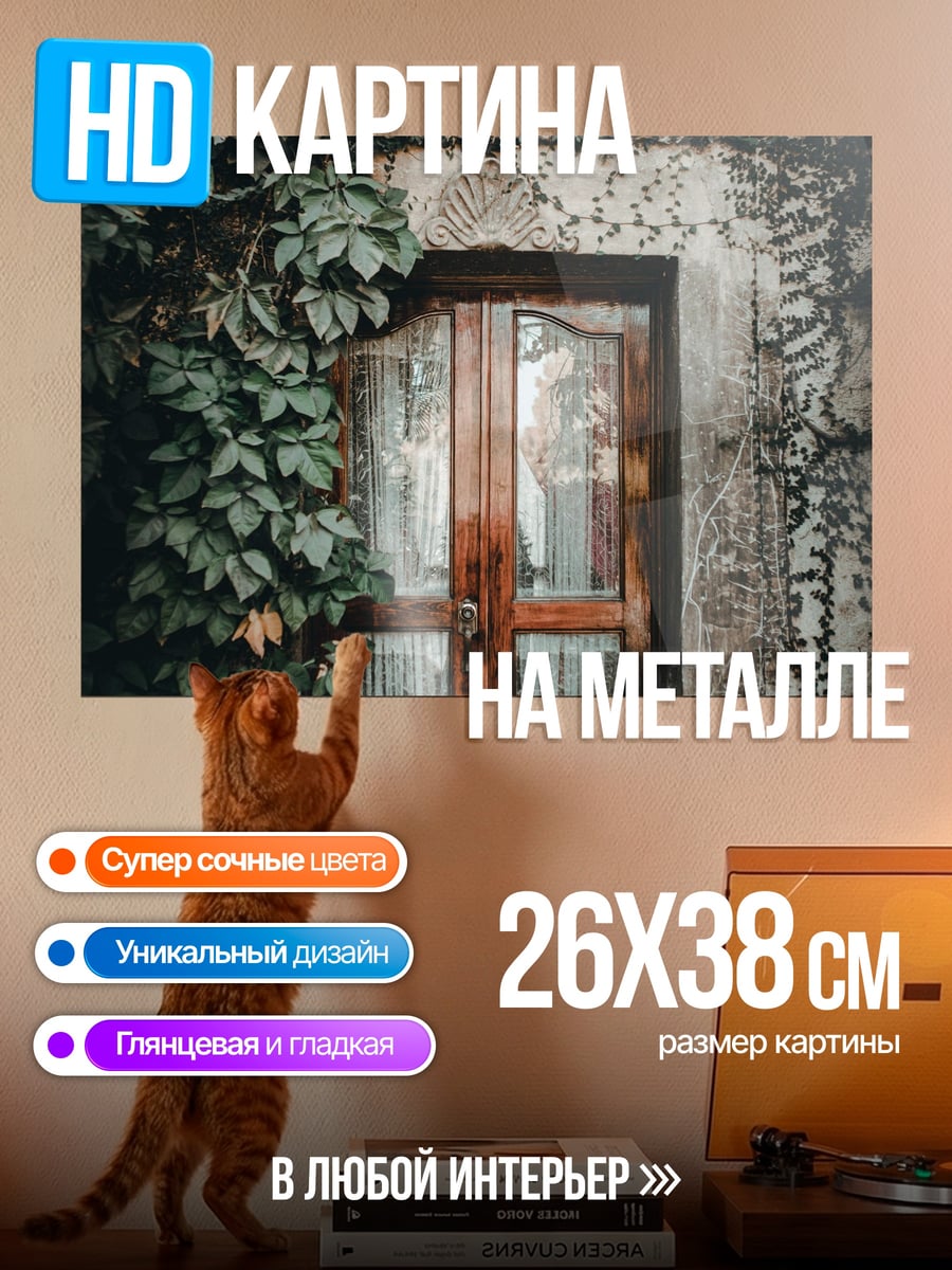 Картина на металле Заросшая дверь дома