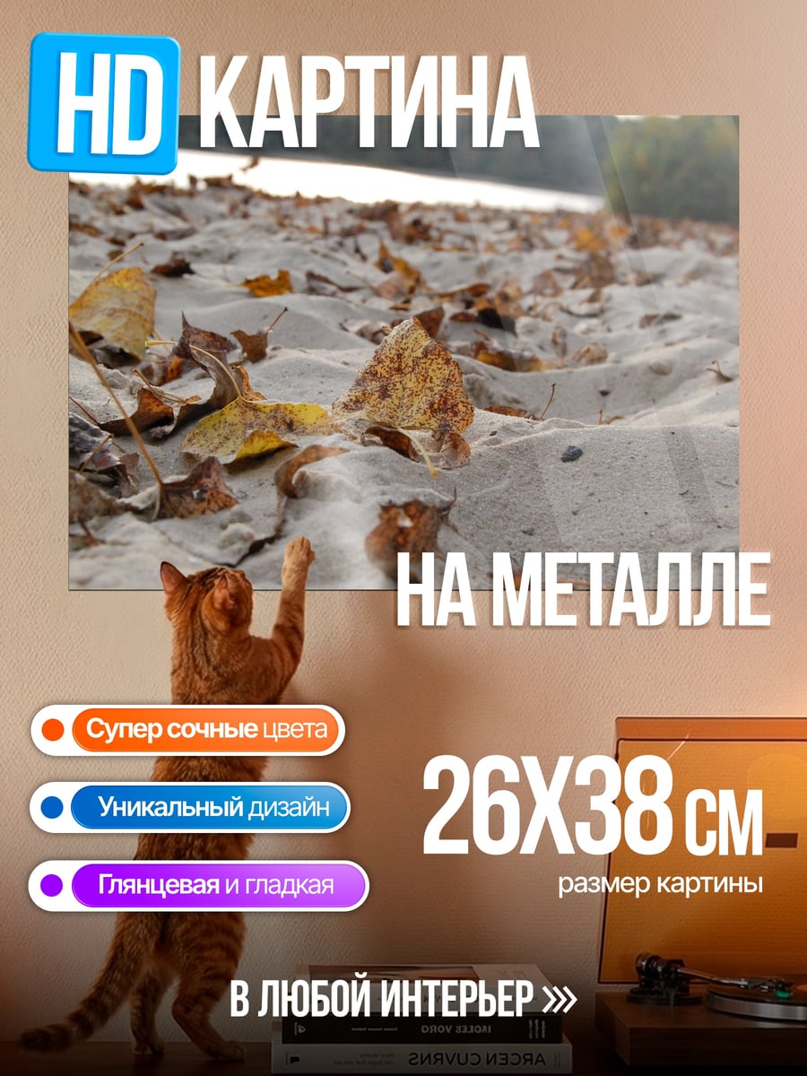 Картина на металле Осенние листья на песке