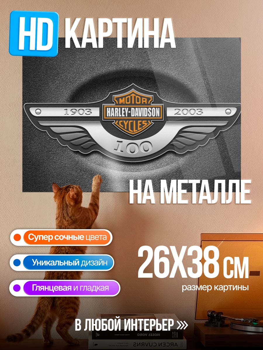 Картина на металле Harley-Davidson 100 лет