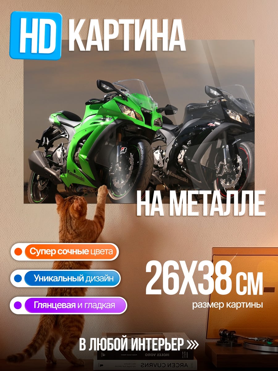 Картина на металле зеленый черный байк