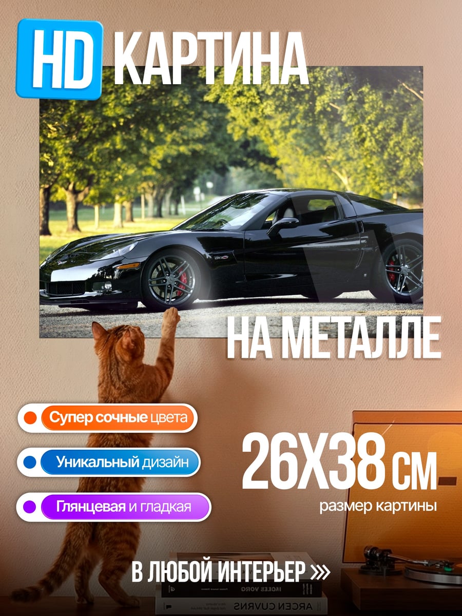 Картина на металле черный спорткар