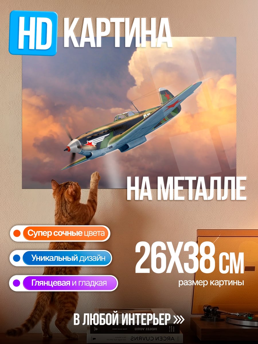 Картина на металле Самолет в небе