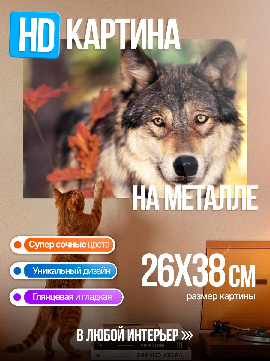 Картина на металле Волк осенний лес