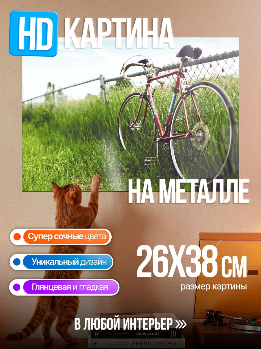 Картина на металле Велосипед у забора