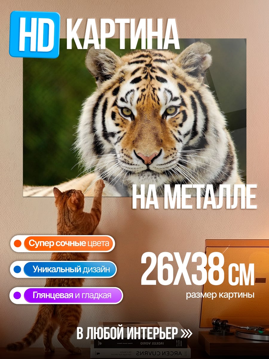 Картина на металле Морда тигра