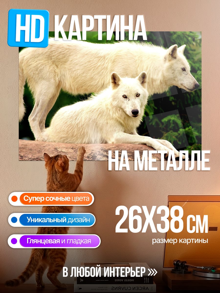Картина на металле Белые волки