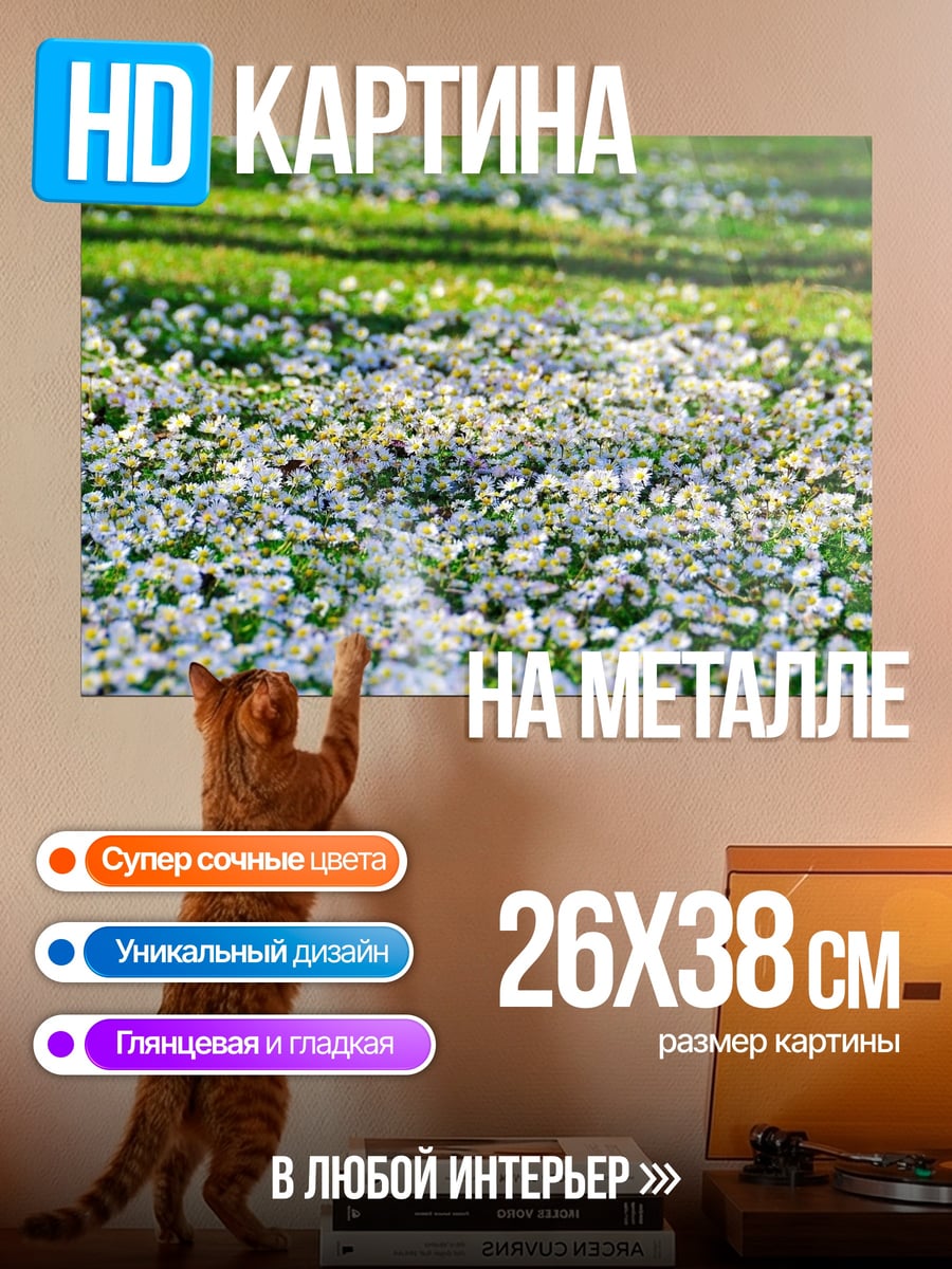 Картина на металле Цветочное поле