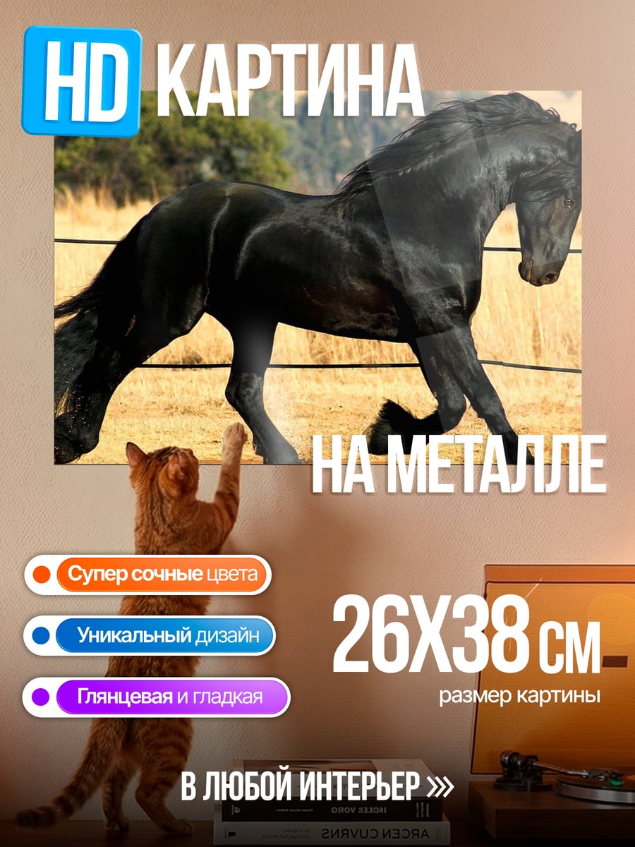 Картина на металле Черный жеребец