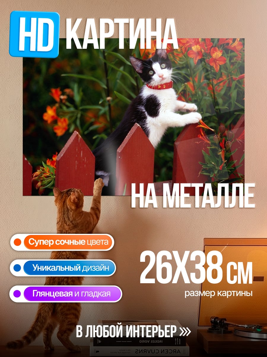 Картина на металле Кот на заборе