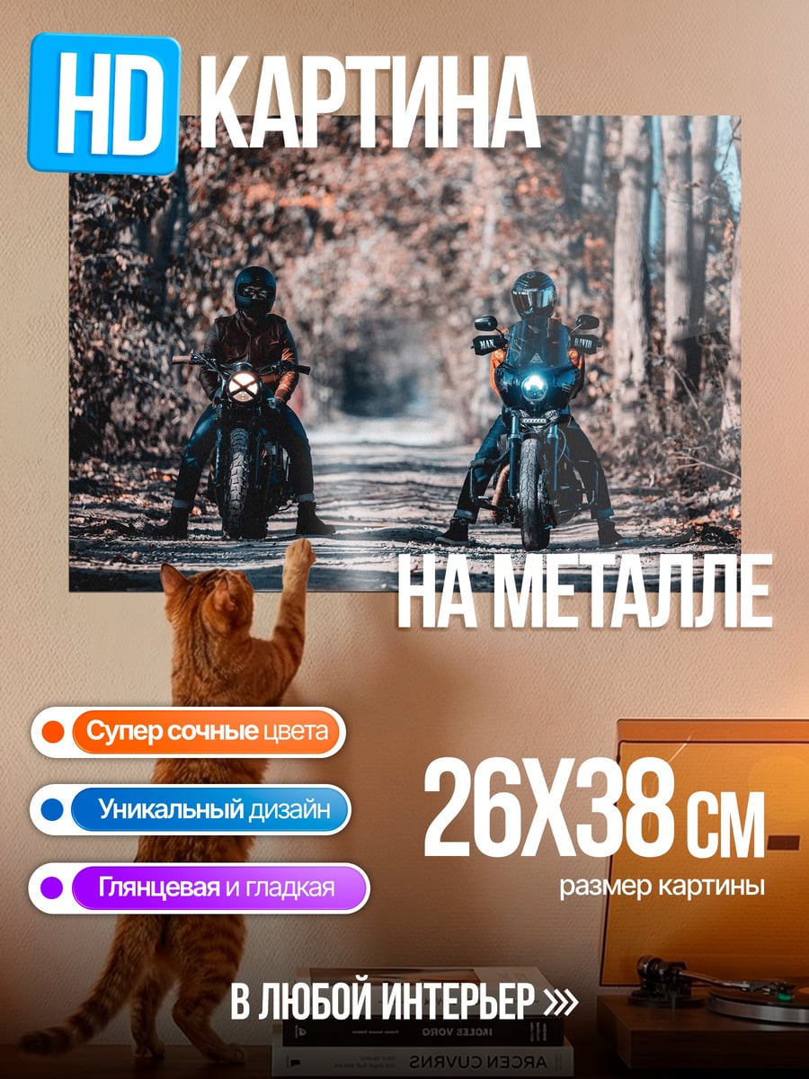 Картина на металле два мотоциклиста