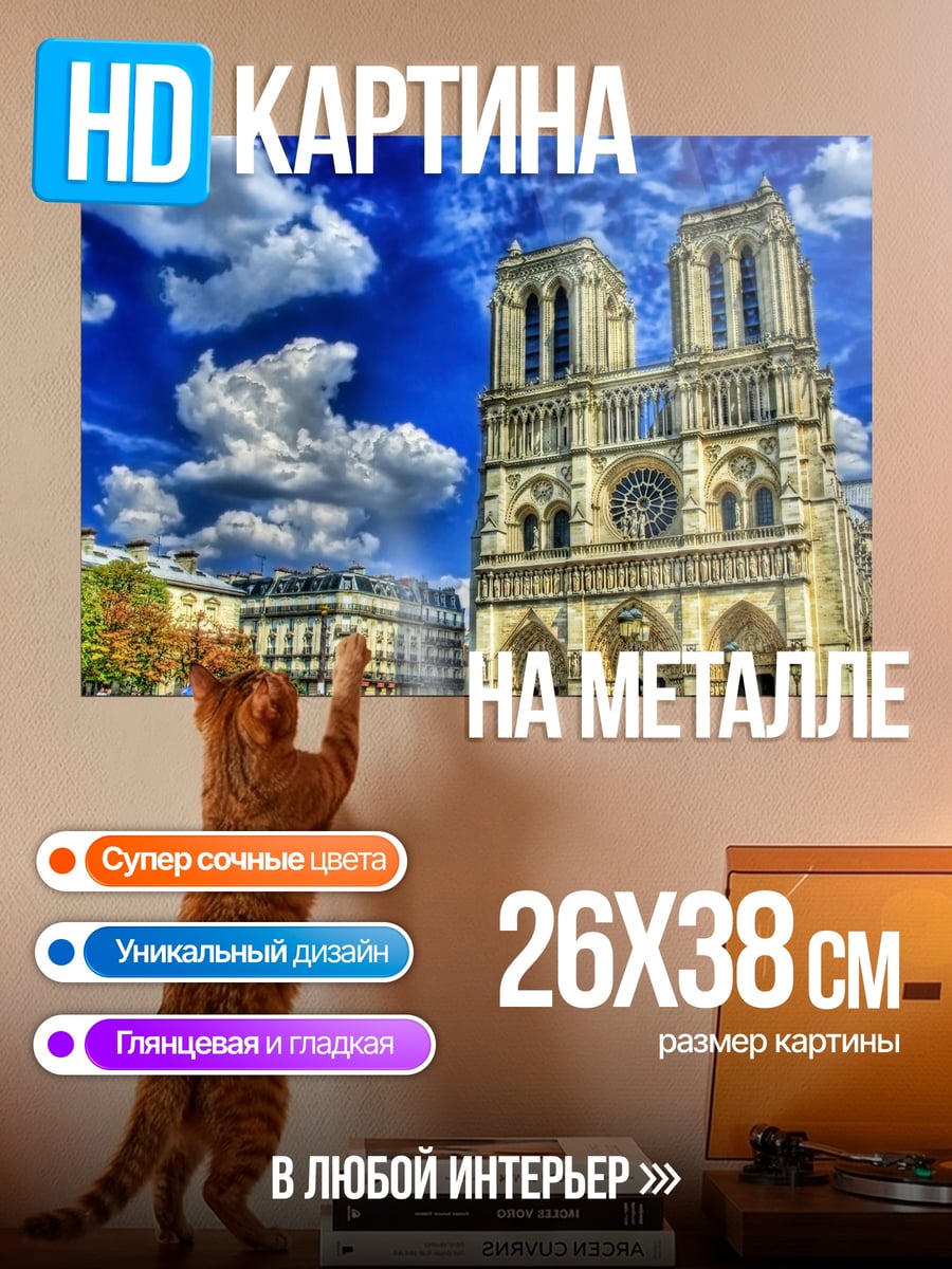 Картина на металле Собор Парижской Богоматери
