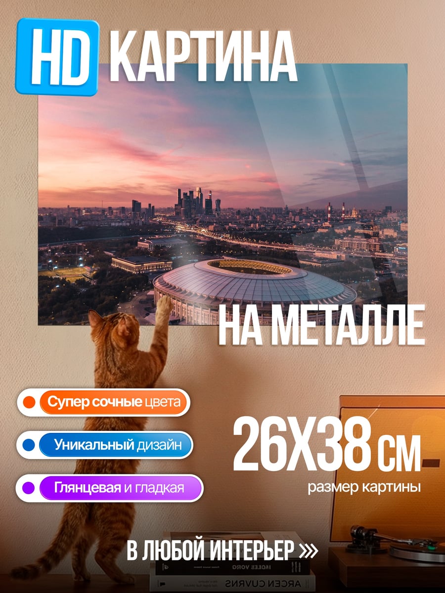 Картина на металле Москва закат