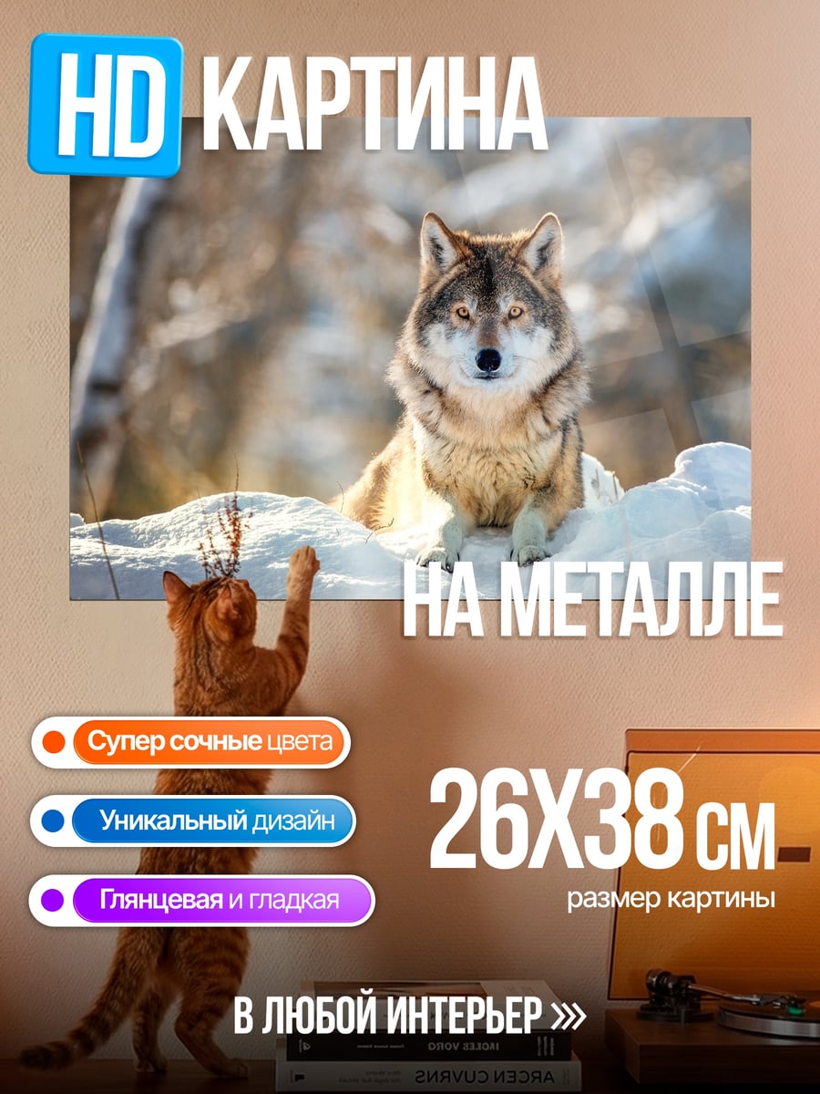 Картина на металле Зимний волк