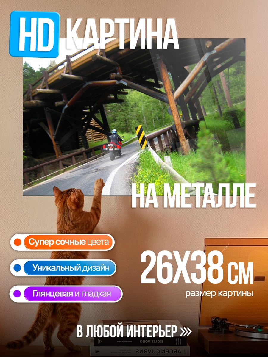 Картина на металле Мотоциклист на мосту