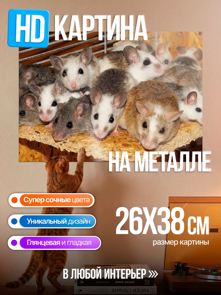 Картина на металле Много мышей