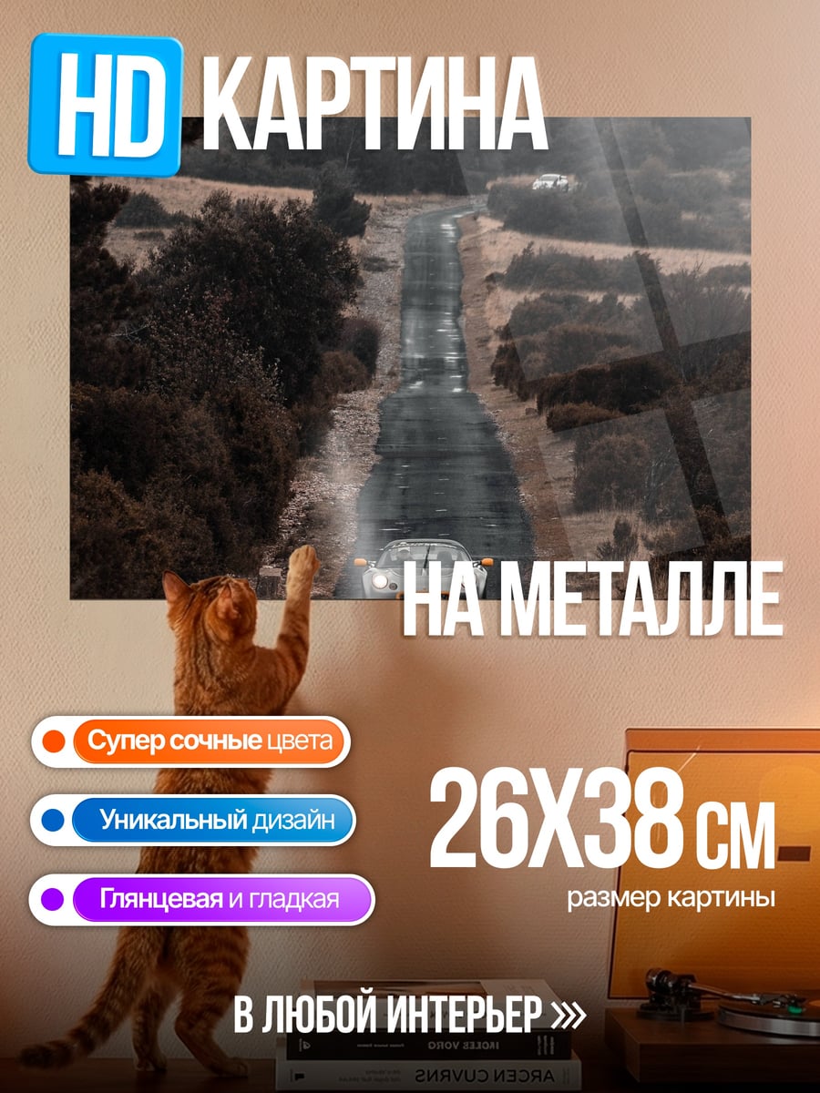 Картина на металле Спортивный автомобиль на дороге