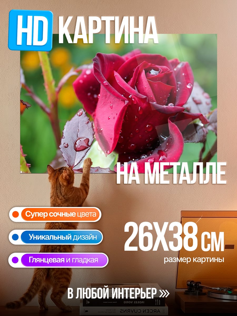 Картина на металле Красная роза с каплями