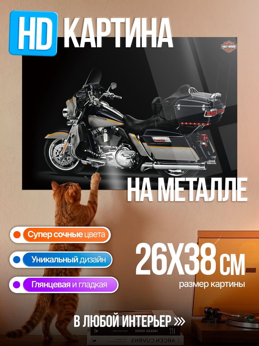 Картина на металле Мотоцикл Harley Davidson
