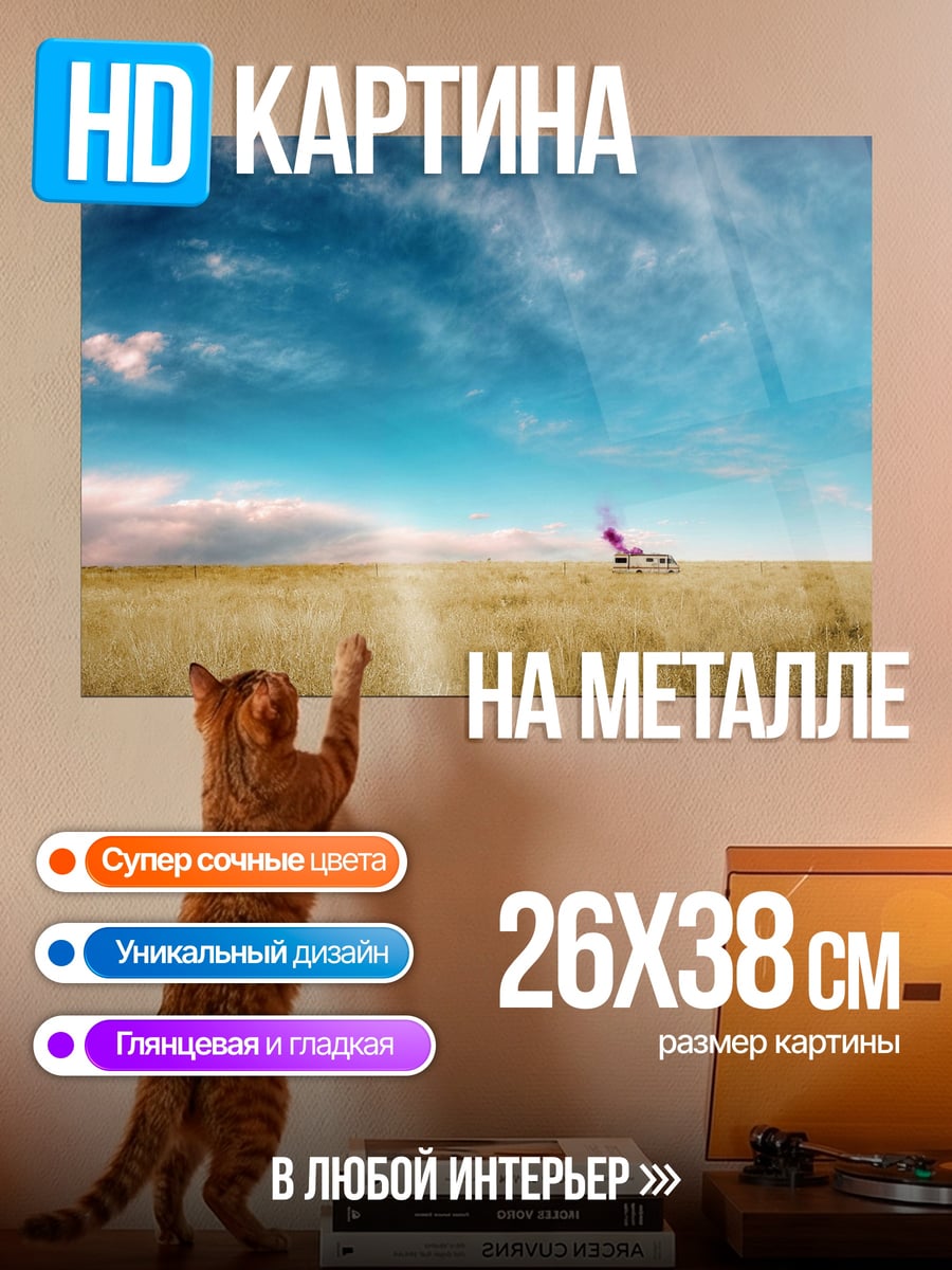Картина на металле Саванна самолет
