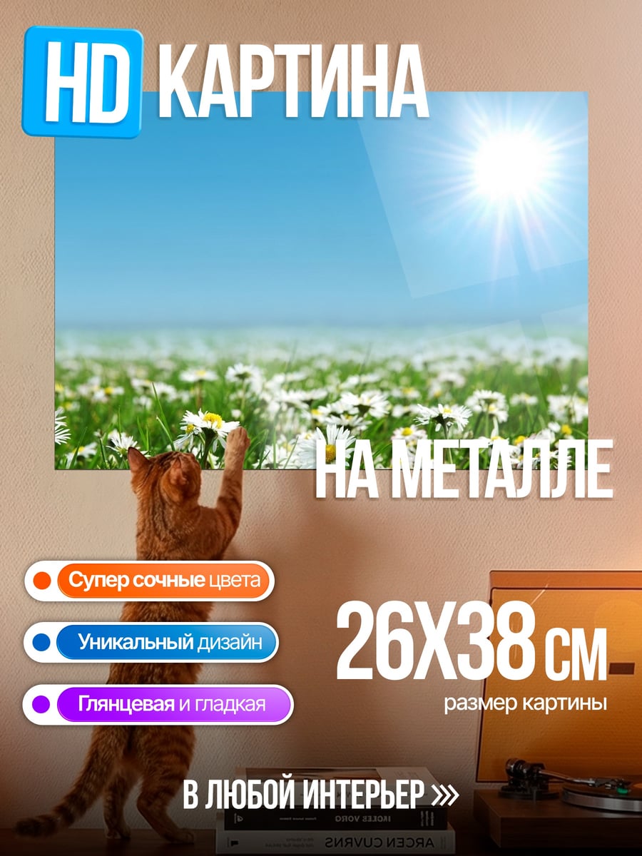 Картина на металле Летнее поле ромашек