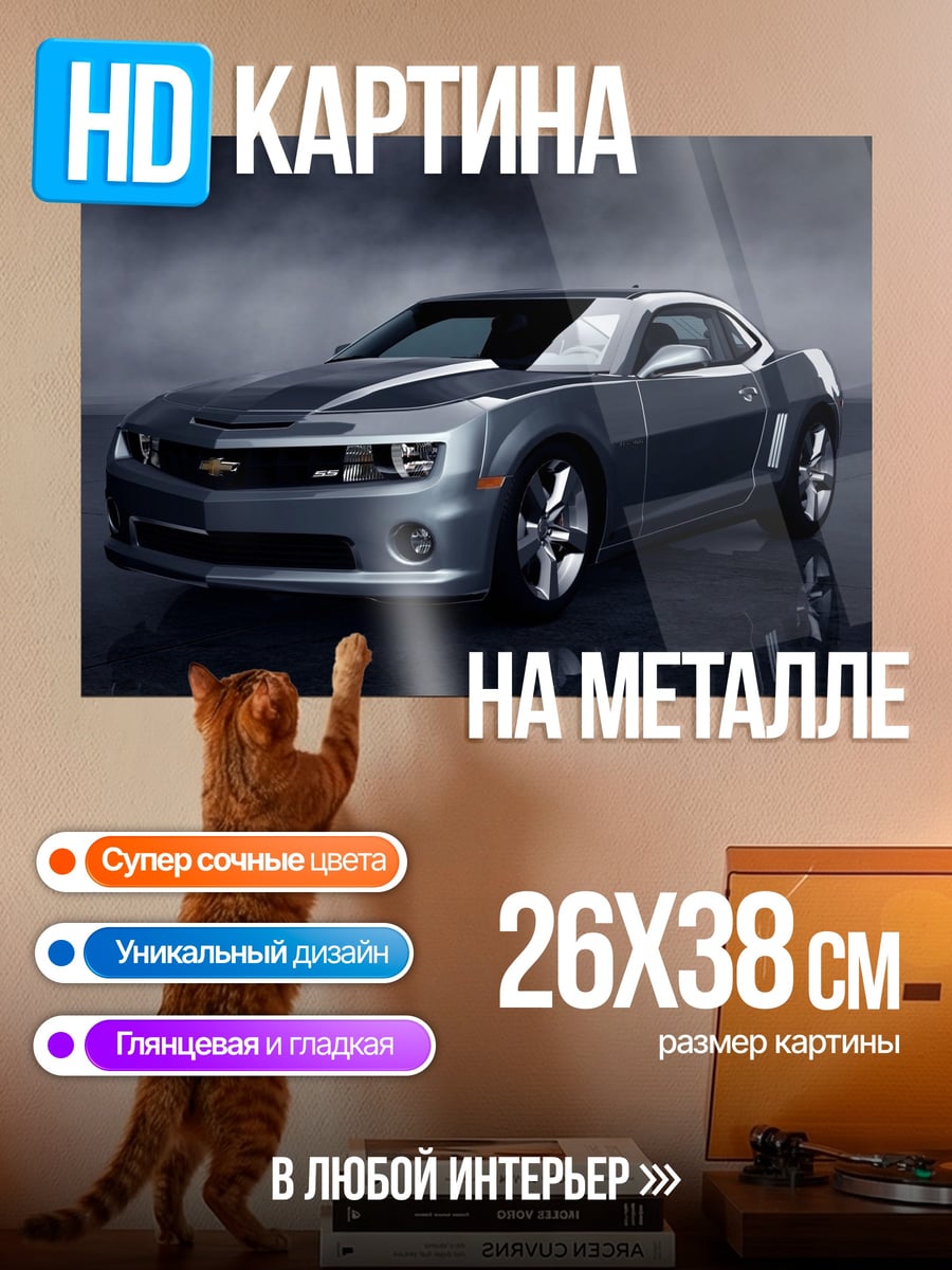 Картина на металле Серый маслкар в дыму