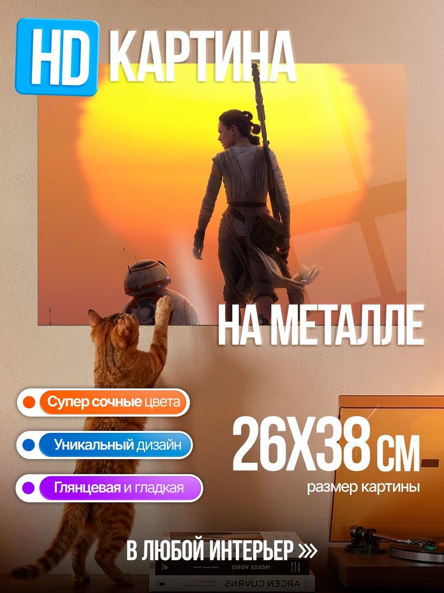 Картина на металле Рей и BB-8
