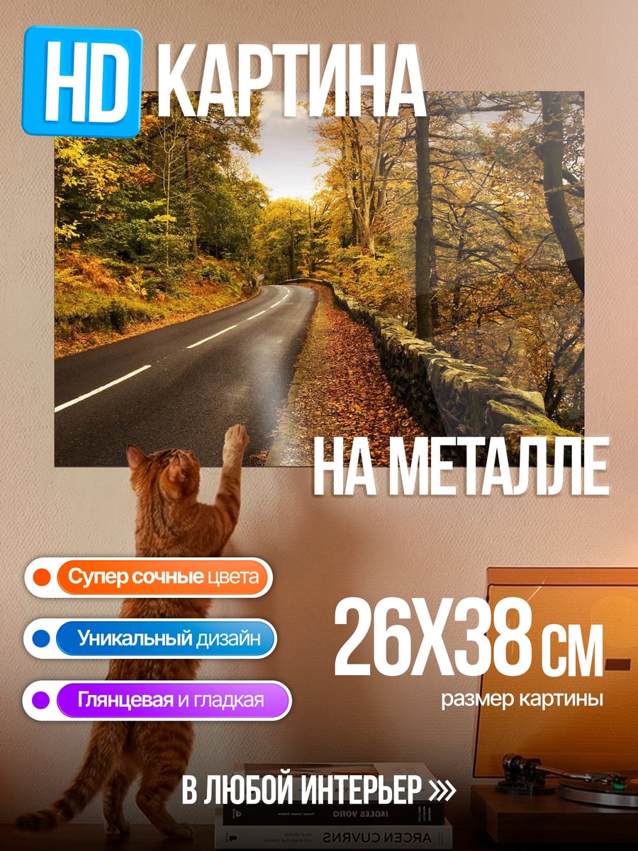 Картина на металле Осенняя дорога