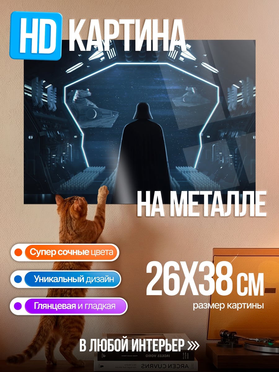 Картина на металле Дарт Вейдер в коридоре
