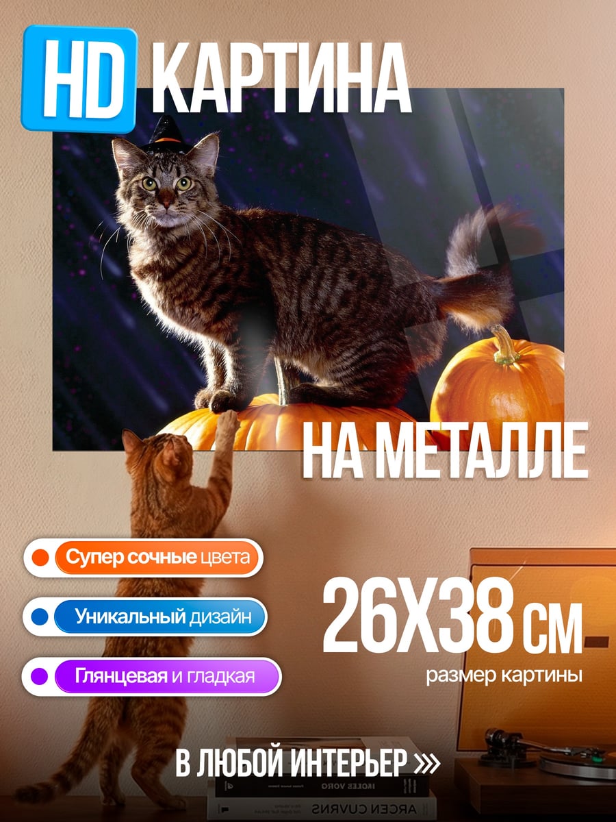 Картина на металле Кошка на тыкве