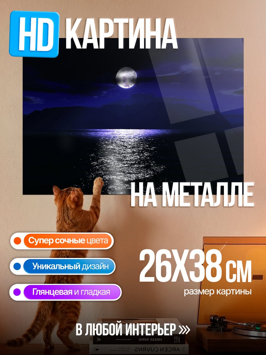 Картина на металле Лунная дорожка