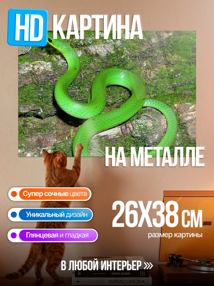 Картина на металле Зелёная змея