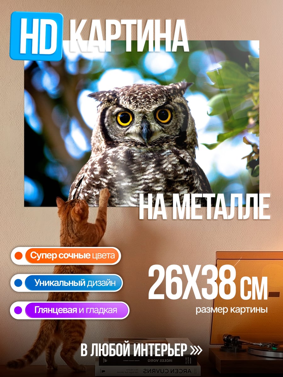 Картина на металле Сова в лесу
