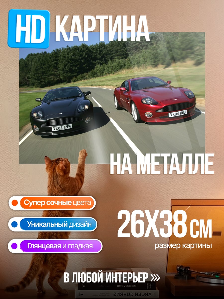 Картина на металле Два спорткара на дороге