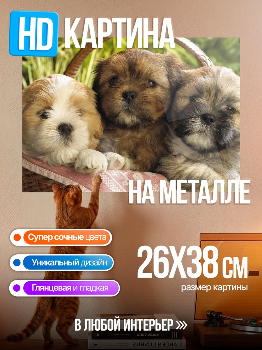 Картина на металле Щенки в корзине