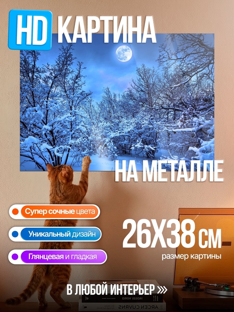 Картина на металле Зимний лес ночью